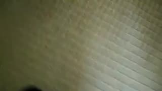 Verifica tu edad