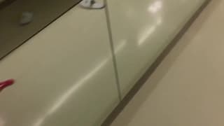 Verifica tu edad
