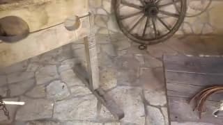 La actriz porno Sienna Day tiene una predilección por las escenas BDSM