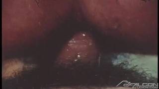 Un porno gay vintage con Mac Turner y Eric Nolte revolcándose desnudos