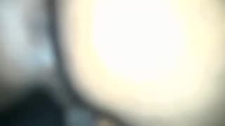 Verifica tu edad