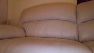 Transexual cachonda con ganas de disfrutar de su polla en casa