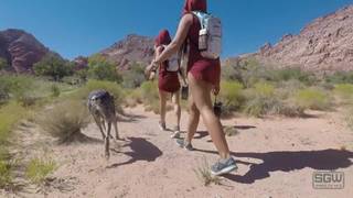 Rubia y morena hacen un trío con el guía de la excursión