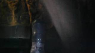 Hombre gay peludo sentado en su gran juguete sexual