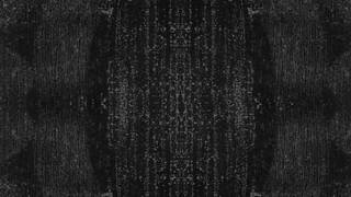 Joven transexual follando con una madura muy especial