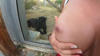Pareja se excita en el zoológico y él eyacula en sus tetas Pareja se excita en el zoológico y él eyacula en sus tetas