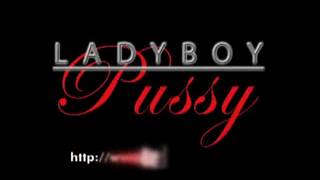 Caliente ladyboy tiene su bello y caliente coño lleno de polla