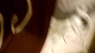 Primer plano de un vídeo casero 100% amateur francés Primer plano de un vídeo casero 100% amateur francés