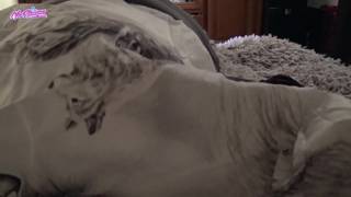Victoria realiza sexo oral y folla com una reina del porno Victoria realiza sexo oral y folla com una reina del porno