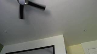 Slutty MILF enjoys en frente de su webcam