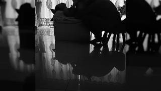 Hermosa mujer china cae sobre la mesa de la sala