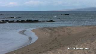 Gay asiático toma un baño de sol desnudo en Hawái