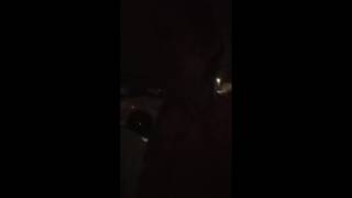 Louisse de alegra loa vida mamando una polla a oscuras en un coche