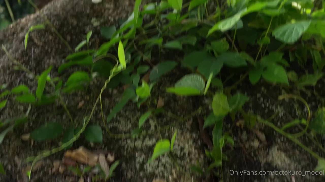 Verifica tu edad
