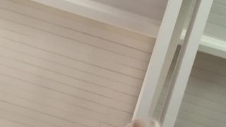 Verifica tu edad